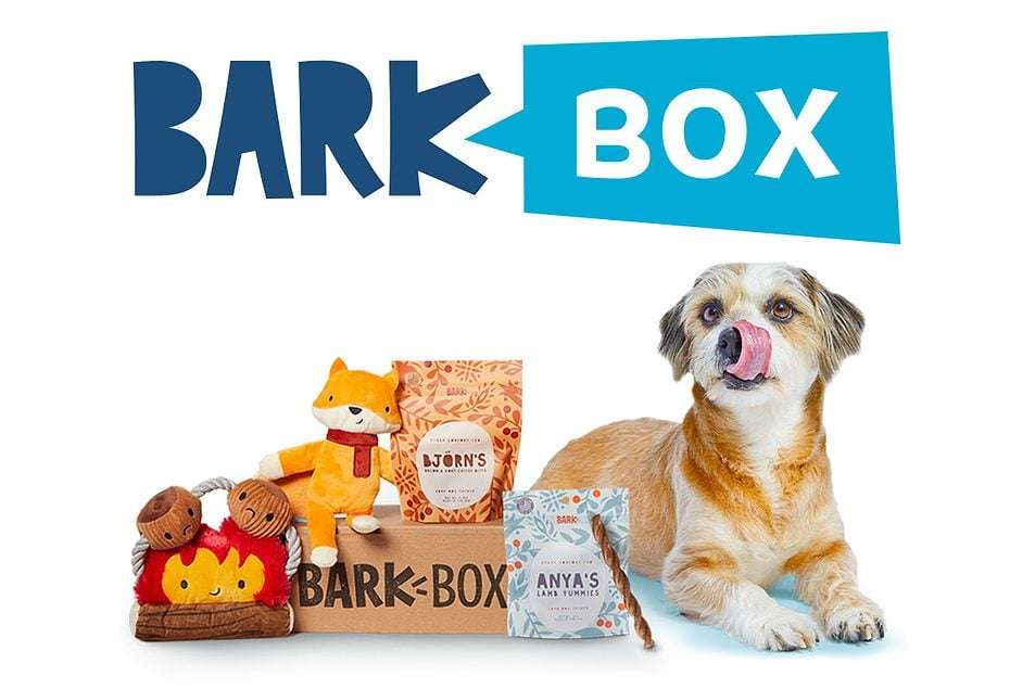 BarkBox Aboneliği + ÜCRETSİZ Funboy Splash Pad!