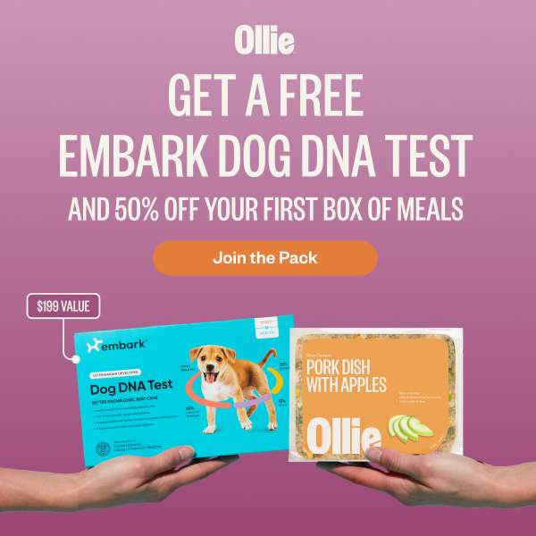 Köpeğiniz için - Ollie %60 İndirim + Ücretsiz Kargo Fırsatı