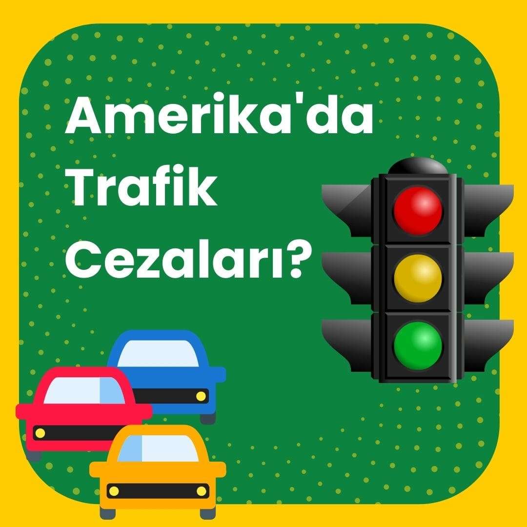 Amerika'da Trafik Cezaları Nas