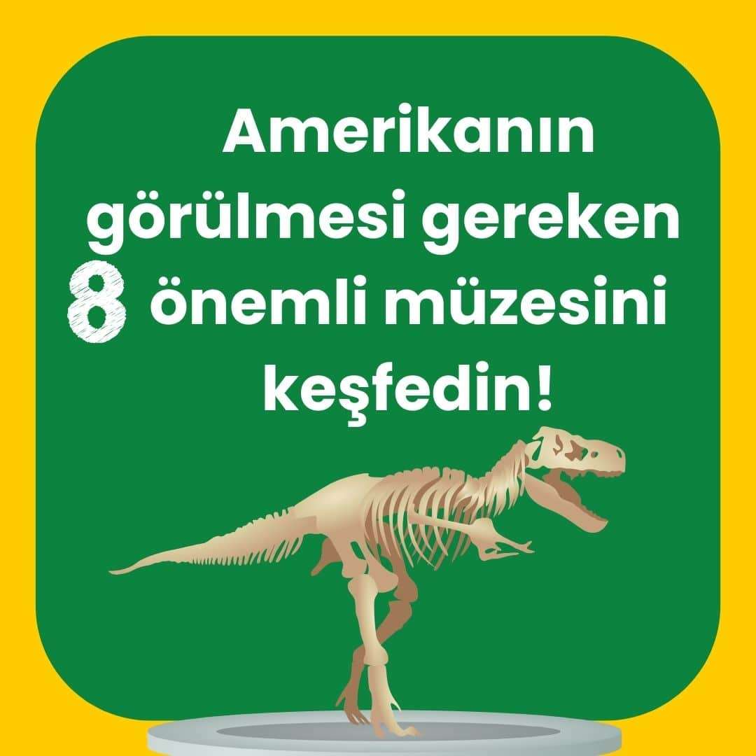Amerikanın görülmesi gereken 8 önemli müzesini keşfedin!